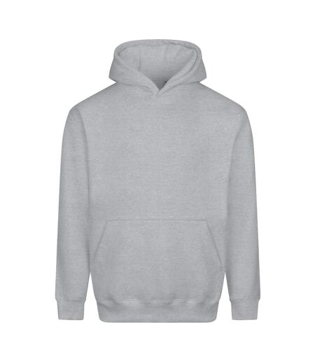 Sweat À Capuche Vision Adulte Gris Chiné Awdis