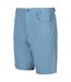 Mens delgado shorts blue shadow Regatta