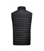 Doudoune Sans Manches Arches Homme Noir James Harvest-2