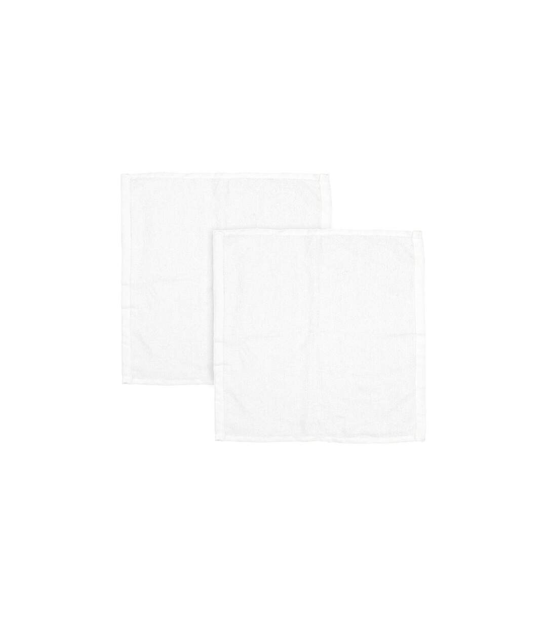 Lot de 2 Torchons Microfibre 30cm Blanc-1