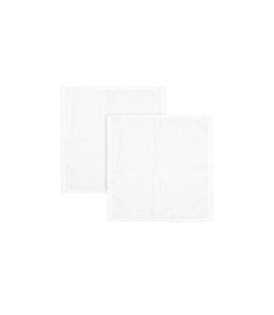 Lot de 2 Torchons Microfibre 30cm Blanc