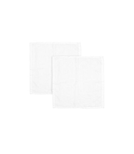 Lot de 2 Torchons Microfibre 30cm Blanc