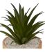 Plante Artificielle en Pot Sao 17cm Marron-2