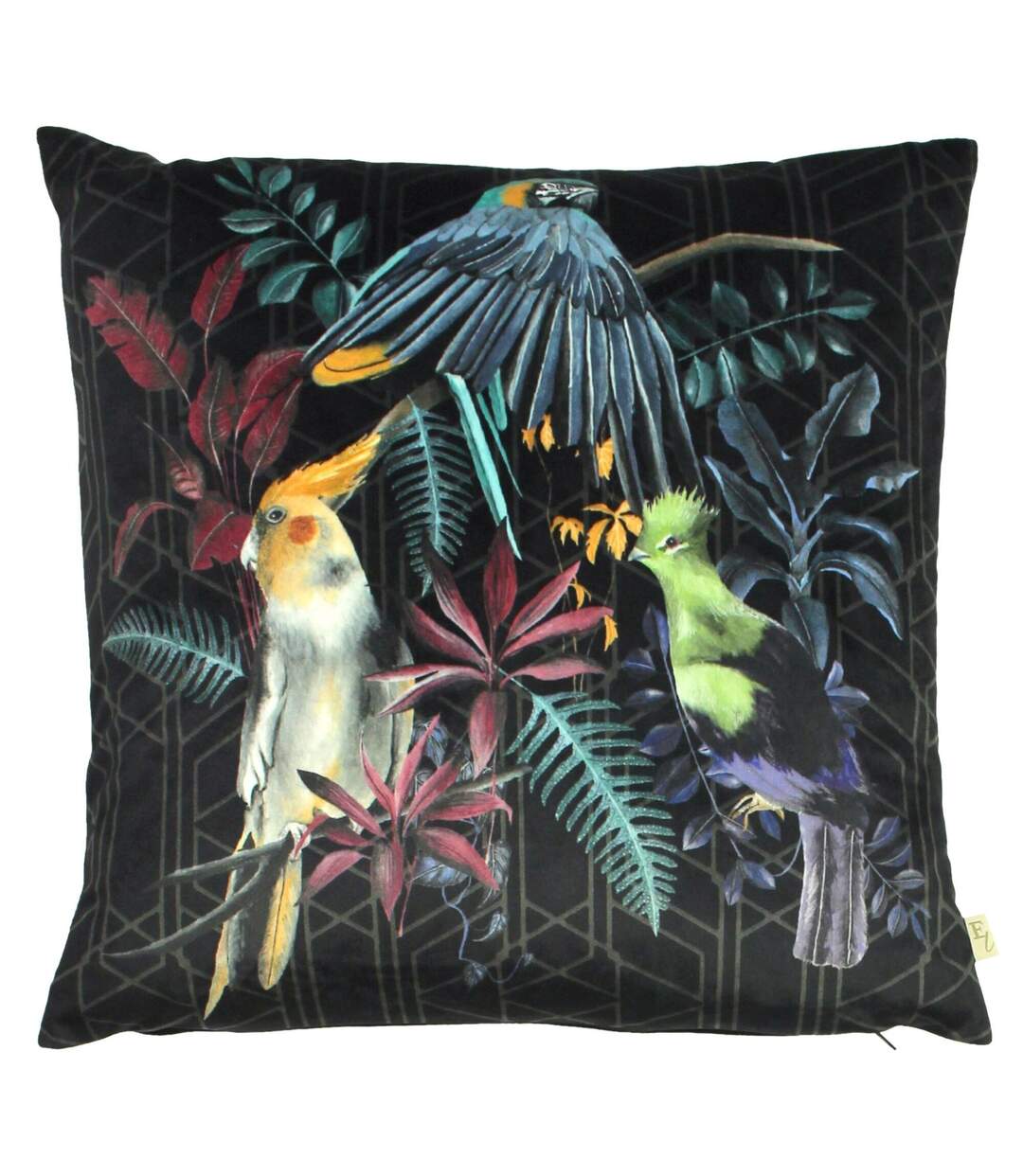 Zinara bird cushion cover 43cm x 43cm multicoloured Evans Lichfield-1