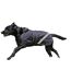 2 in 1 waterproof reflective dog coat 30cm black Firefoot