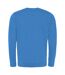 AWDis Hoods Mens Long Sleeve Washed Look Sweatshirt (Washed Sapphire Blue) - UTRW5369