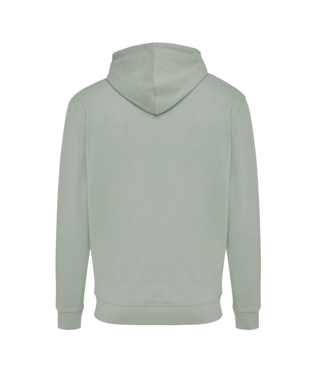 Unisex adult jasper recycled cotton hoodie iceberg green Iqoniq-2