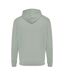 Unisex adult jasper recycled cotton hoodie iceberg green Iqoniq-2