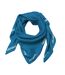 Foulard Bleu Mixte Lacoste RE2797 - Taille unique