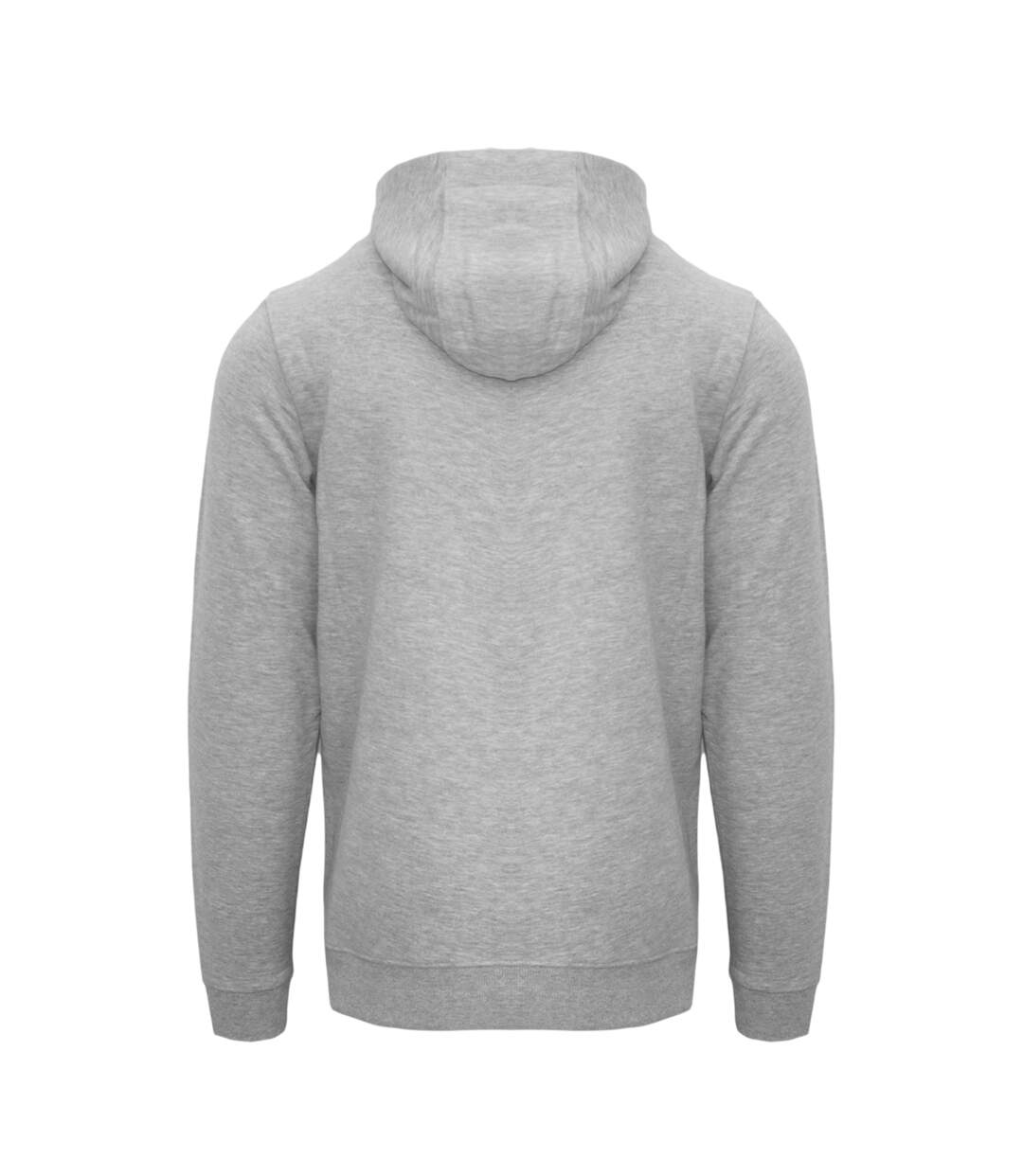 Mens Casual Hoodie Grey Aquascutum-2