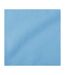 Sweat Adulte Bleu Clair Jerzees-2