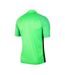 Maillot De Foot Gardien Homme Vert Nike-2
