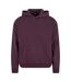 Sweat À Capuche Homme Violet Prune Urban Classics-1