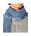 Écharpe Motif/style Lignes Adulte Taille Unique Bleu Spasso-3