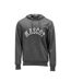 Mens Hoodie Stone Grey Mascot-1