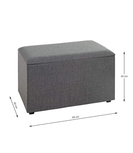 Coffre de Rangement Design Lumyna 65cm Gris