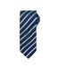Premier - Cravate rayée - Homme (Bleu marine/Turquoise) (Taille unique) - UTRW5237