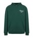 Sweat À Capuche Homme Vert Slazenger-1