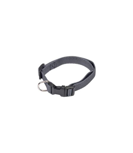 Collier Réglable pour Chien Essentiel 45cm Anthracite