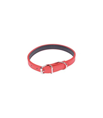 Collier pour Chien Design Uni 30cm Rouge