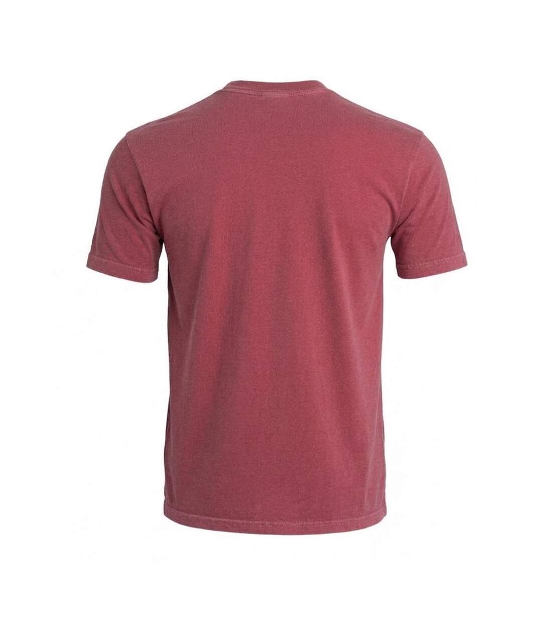Unisex Adult Heavyweight T-shirt Brick Comfort Colors-2