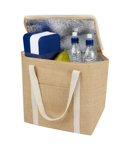 Juta 19L Jute Cooler Bag (Natural/White) (One Size) - UTPF4175
