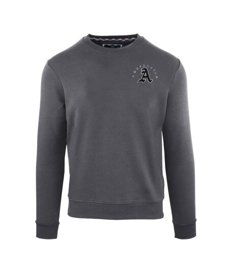 Sweat Homme Anthracite Aquascutum