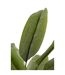 Plante Artificielle en Pot Bananier 250cm Vert-2