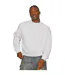 Sweat Premium Adulte Gris Lunaire Casual Classics-1
