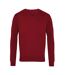 Premier Mens Knitted Cotton Acrylic V Neck Sweatshirt (Burgundy) - UTPC6849