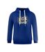 Mens Big Logo Hoodie Blue Ice Iceberg-1