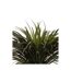 Plante Artificielle en Pot Yucca 150cm Vert & Noir-2