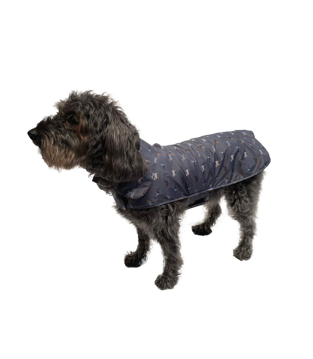 Fatface marching dog raincoat grey Danish Design Pet Products