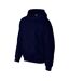 Gildan Unisex Adult DryBlend Hoodie (Navy) - UTRW10143