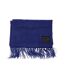 Unisex Adult Dotted Midweight Scarf One Size Royal Blue Luke-2