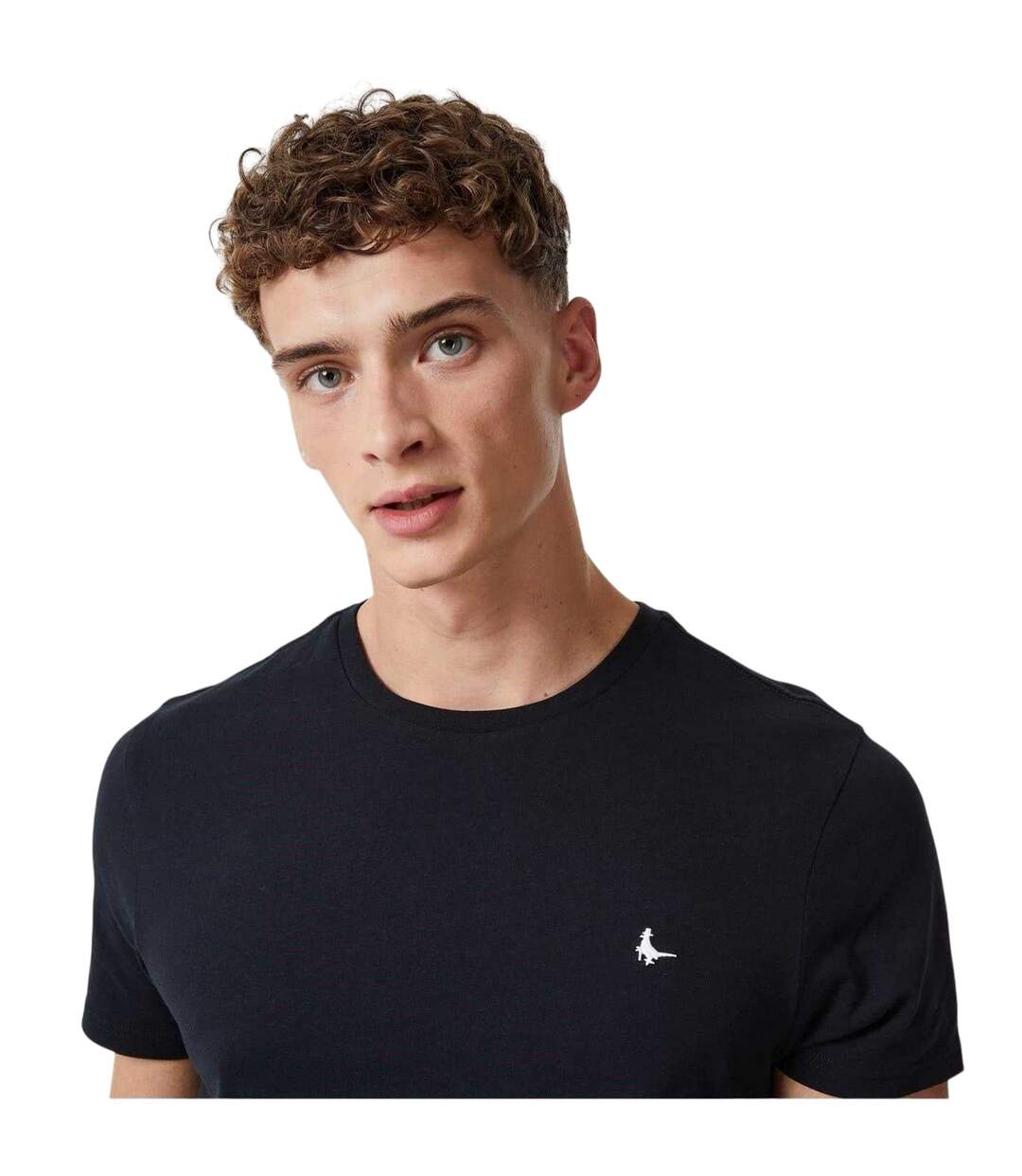 T-shirt Motif/style Logo Sandleford Homme Noir Jack Wills-3