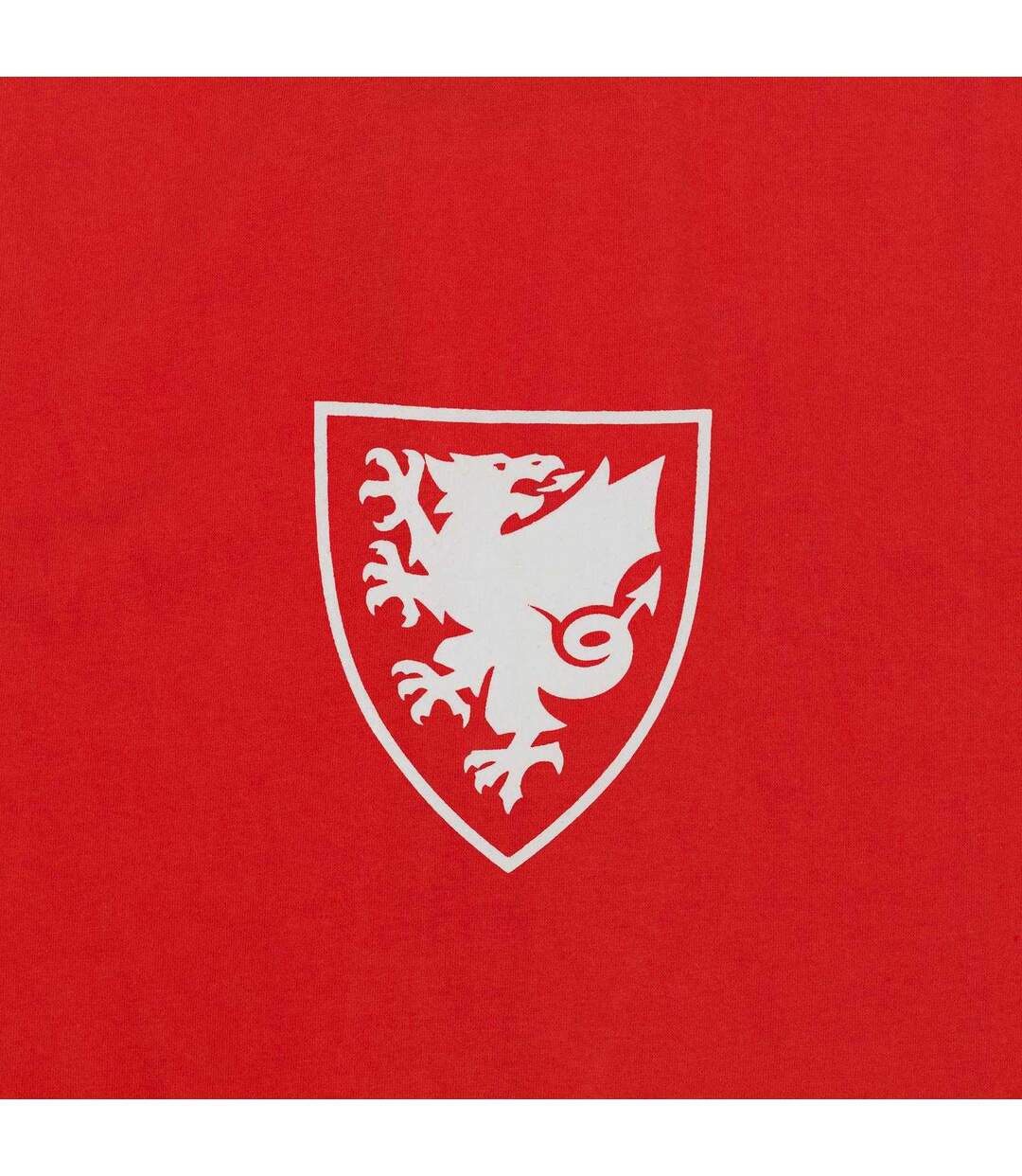 T-shirt Motif/style Graphique Homme Rouge FA Wales-3