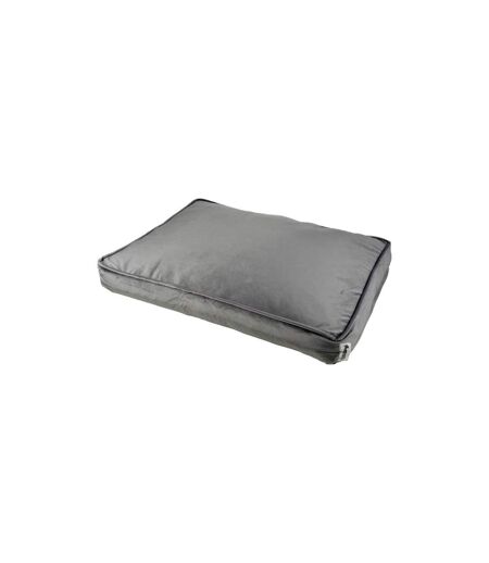 Coussin Rectangle Chien & Chat Velours Crafty 80cm Gris