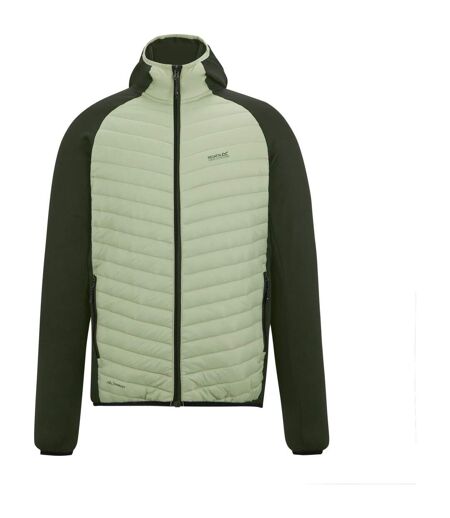 Veste Hybride Andreson Homme Vert Pâle Kaki Foncé Regatta