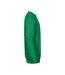 Sweat Adulte Vert EXCD By Promodoro-3