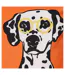 Sac À Cosmétique Motif/style Dalmatien Taille Unique Orange Lazy Jacks-4