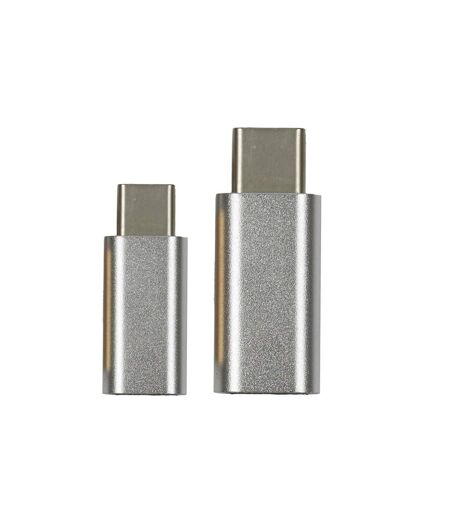 Lot de 2 Adaptateurs USB type C 2cm Gris