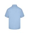Absolute Apparel - Chemise - Homme (Bleu clair) - UTAB120