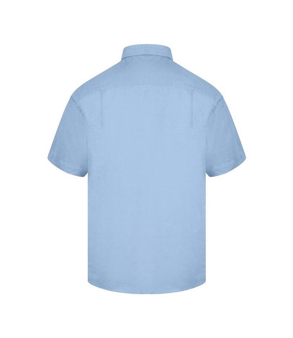 Absolute Apparel - Chemise - Homme (Bleu clair) - UTAB120