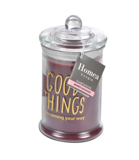 Bougie Parfumée Bocal Winter Blush 14cm Rouge