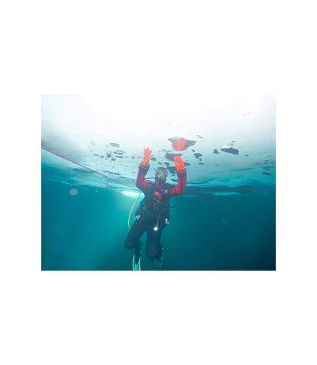 20 minutes de plongée sous glace près de Morzine - SMARTBOX - Coffret Cadeau Sport & Aventure