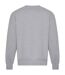 Unisex Adult Signature Heavyweight Sweatshirt Heather Grey Awdis-2