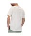 T-shirt Écru Tommy Hilfiger Linear - XL