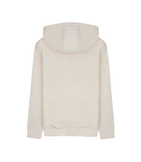 Sweat à capuche blanc homme teddy smith jim - l