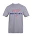 Unisex Adult Bearman F1 T-shirt Grey AWD-3